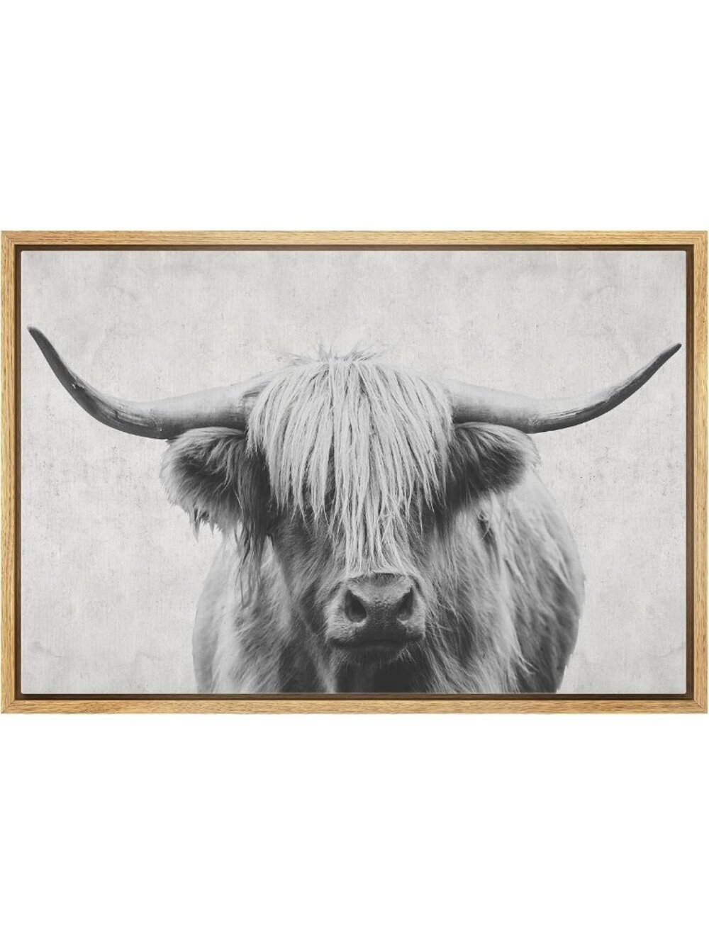 Vintage Highland Cow Canvas Wall Art - Black & White Modern Decor for Living